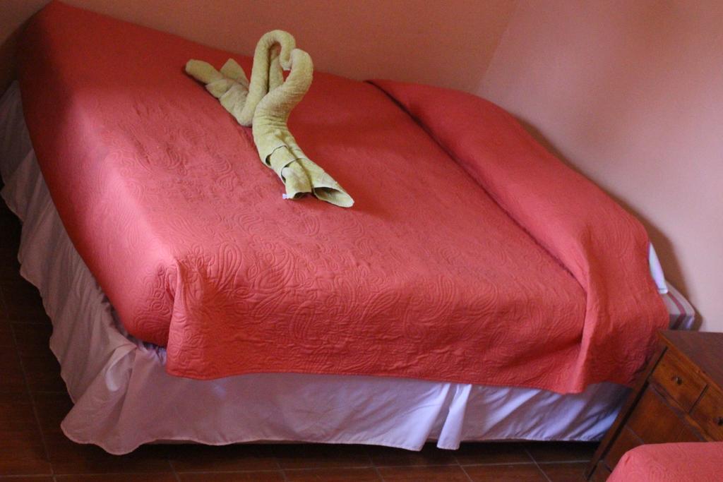 Hostal Tuyasto San Pedro de Atacama Dış mekan fotoğraf