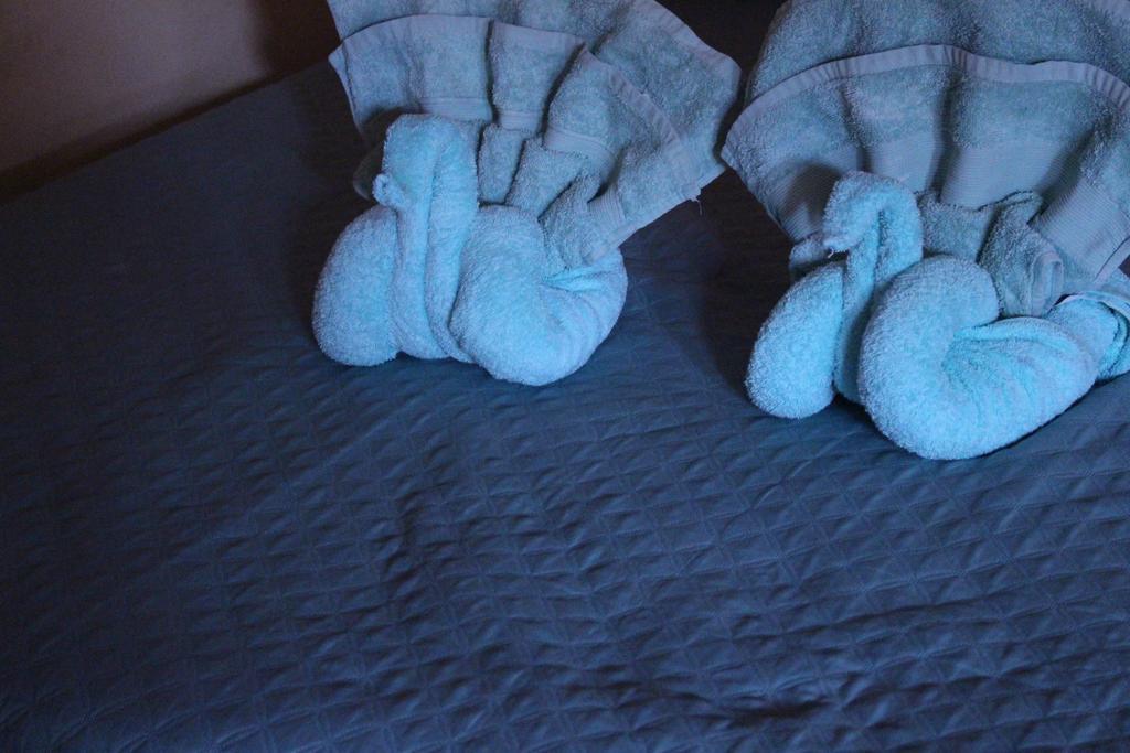 Hostal Tuyasto San Pedro de Atacama Dış mekan fotoğraf